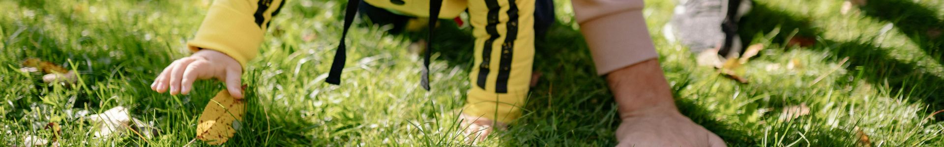 A Kid Crawling on the Grass