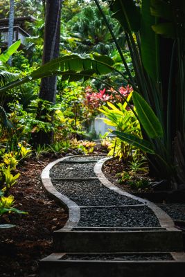 Bark Mulch between Plants